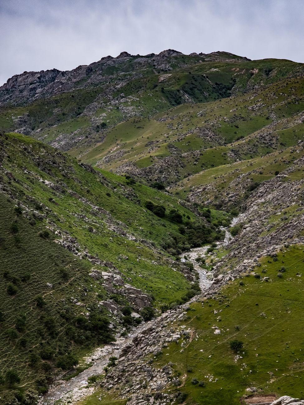 View of lush green mountains and a winding stream in Uzbekistan · Fergana Valley, Uzbekistan